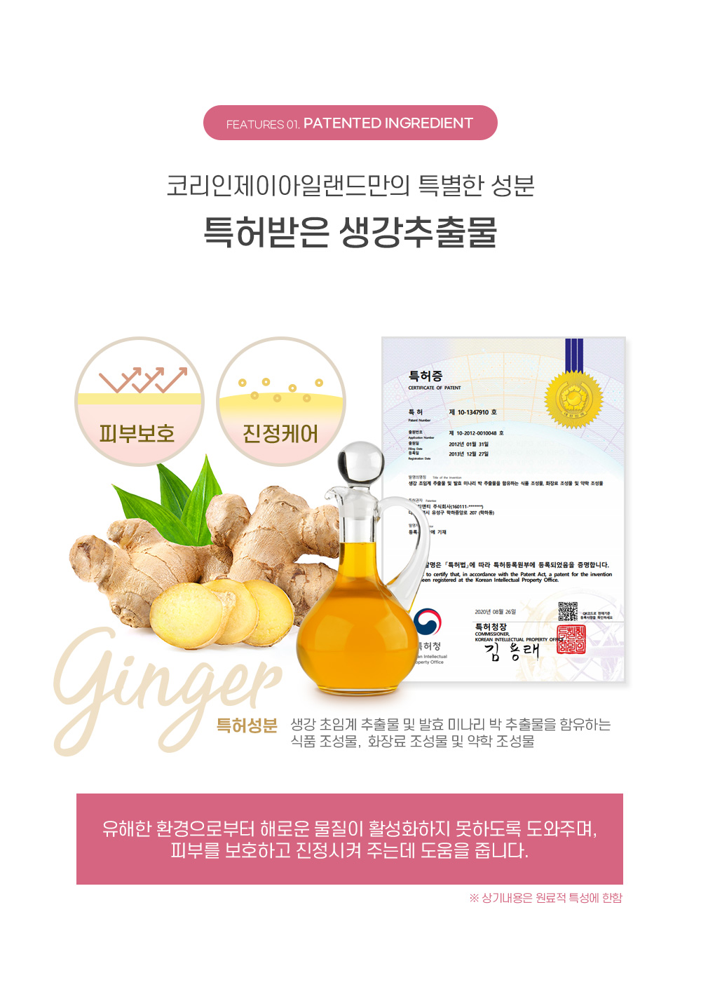 키즈_15_생강추출물.jpg
