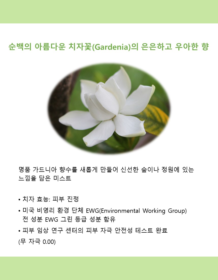 미스트 상세페이지-1.jpg