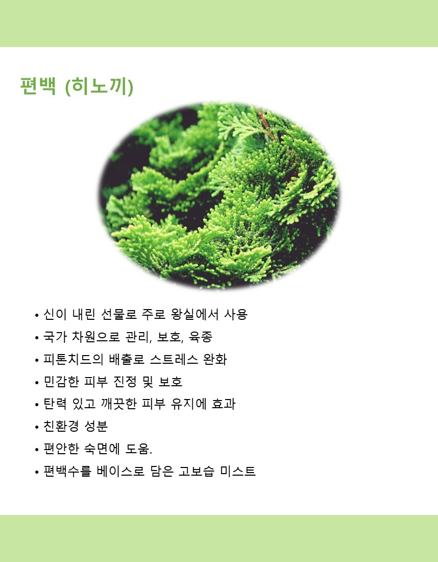 미스트 상세페이지-2.jpg