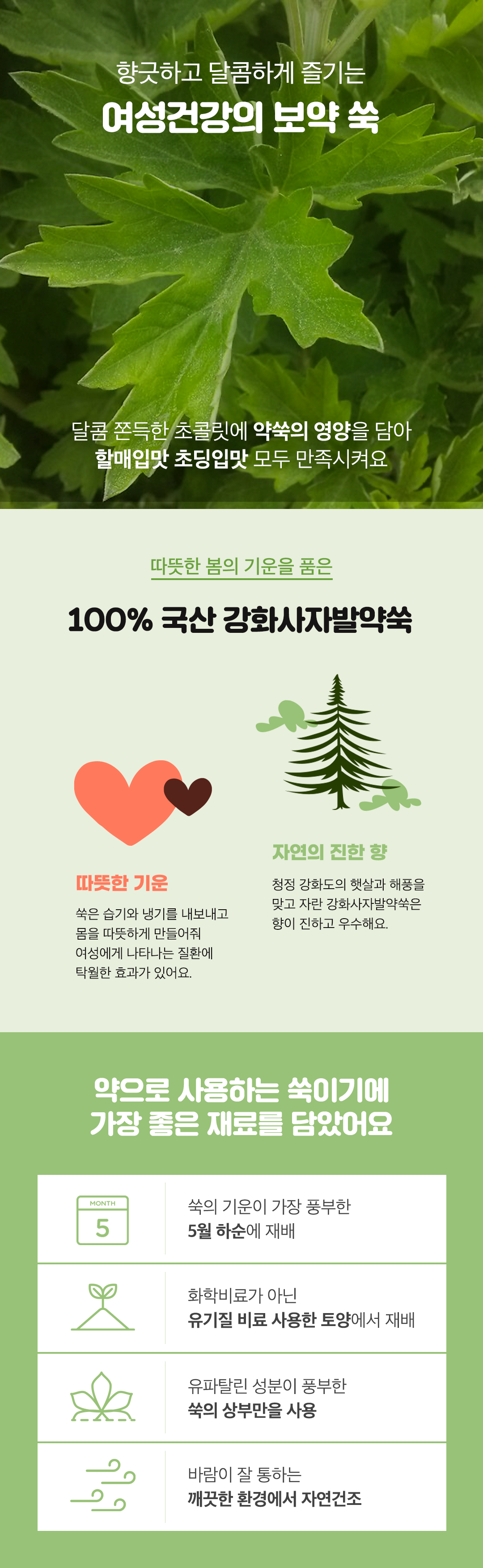 11.포인트_ (3)쑥 #강화사자발쑥.png