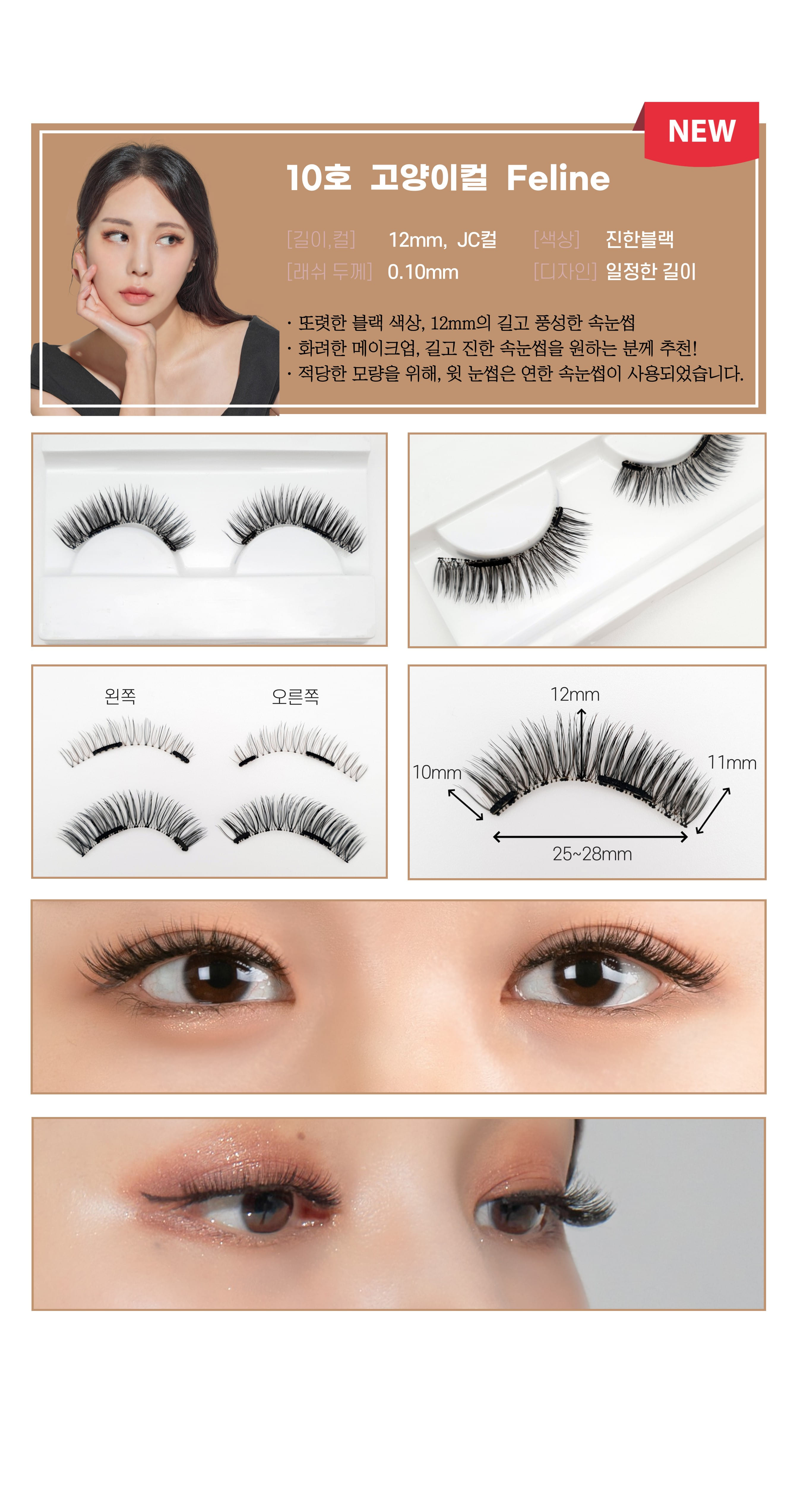 10호 고양이컬.jpg