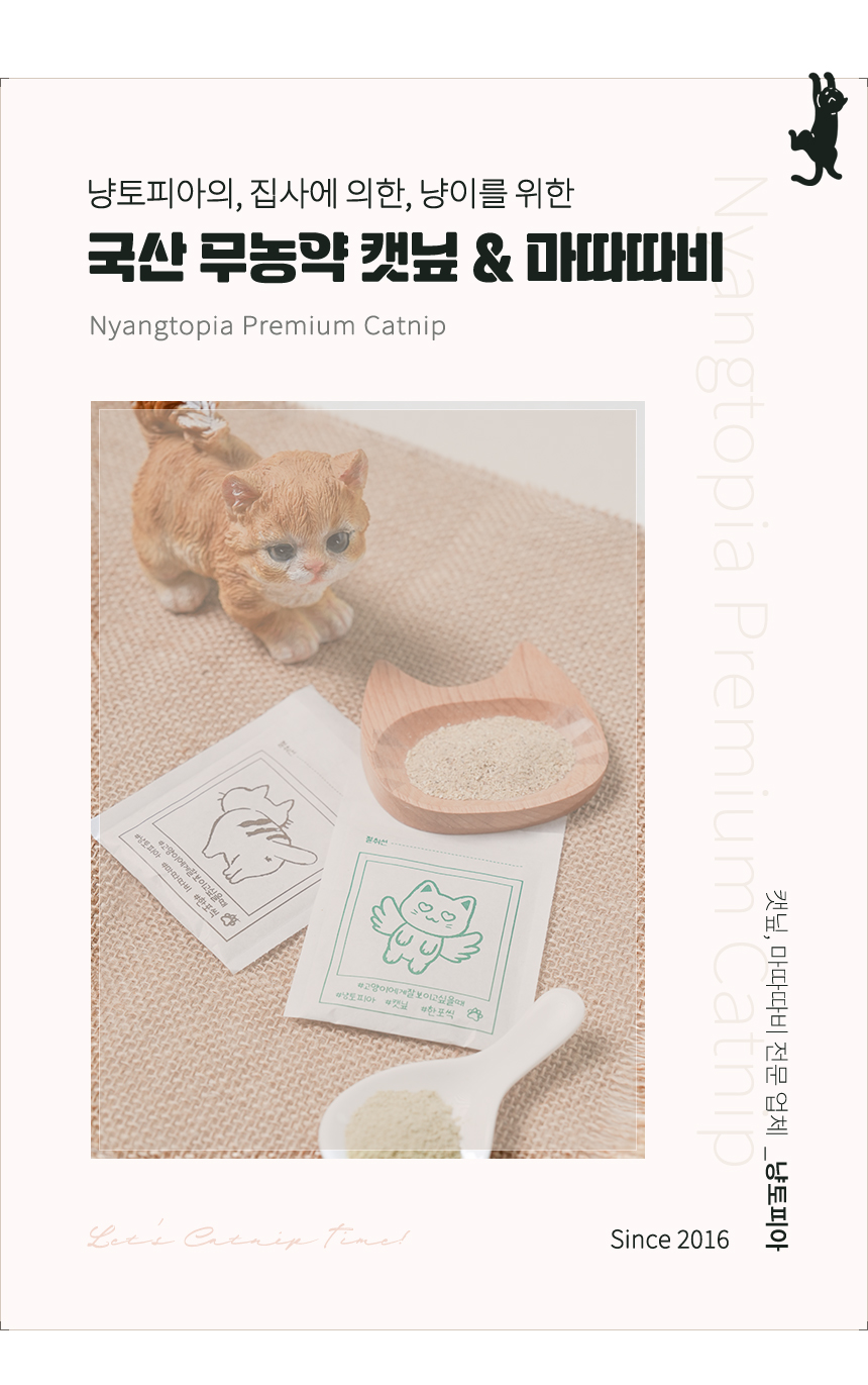 4_약포지_인트로.jpg