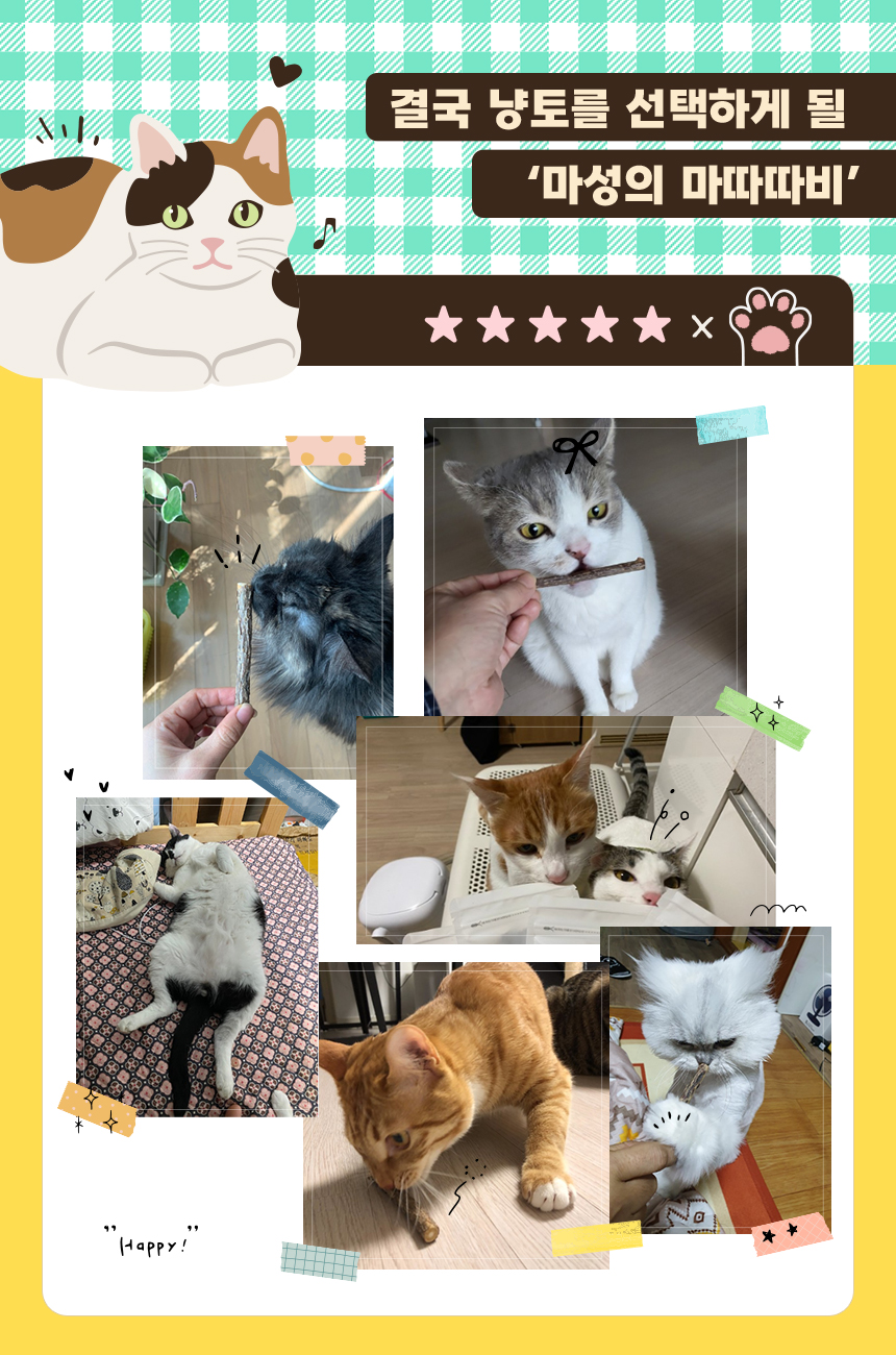 9-1_마따따비_후기.jpg